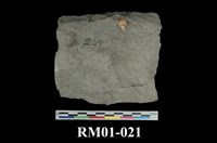 藏品(板岩)的圖片